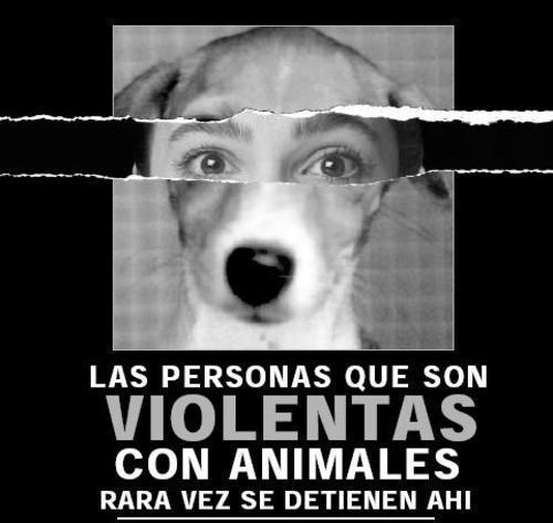 MAC193341's tweet photo. #NoAlMaltratoAnimal
#NoAlTAS
😢 https://t.co/Ox8iDgbTom