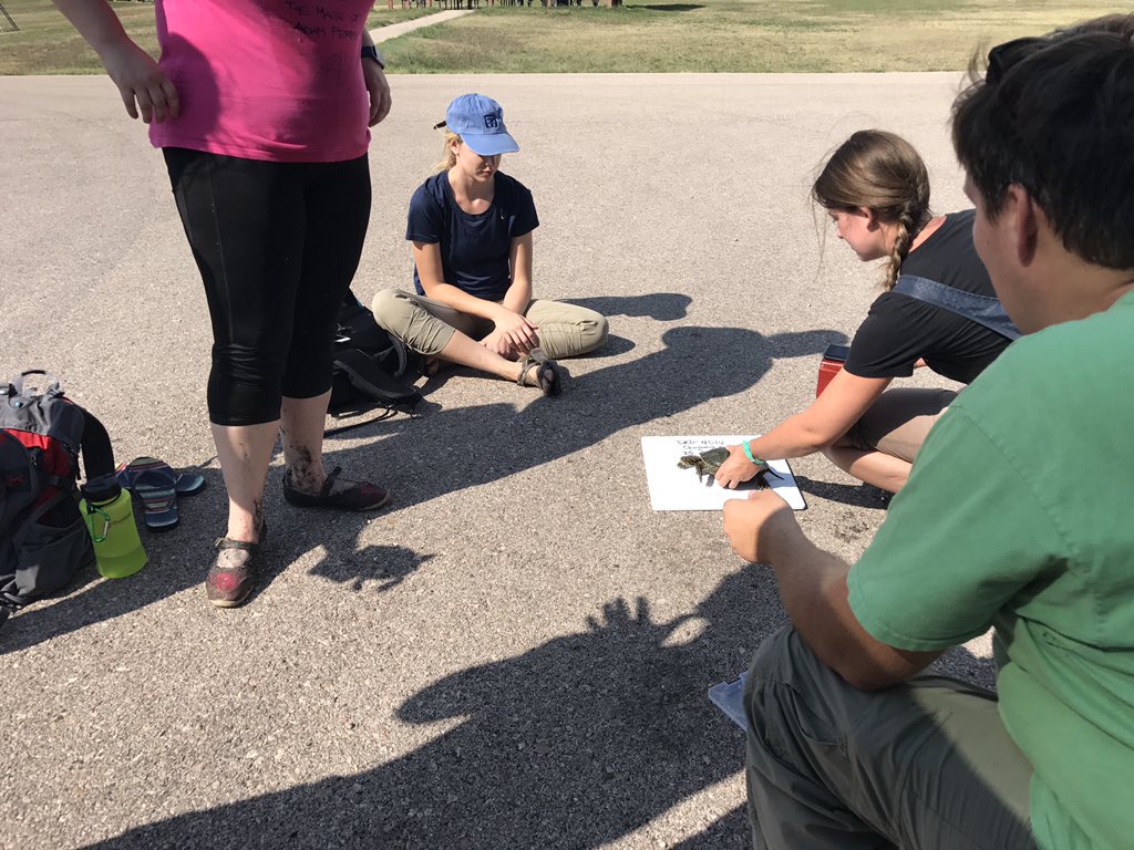 jfarkas14's tweet photo. So many painted #turtles while in the black hills with #herpetology! #kerbysark #farmteam https://t.co/5joiFbZRmJ