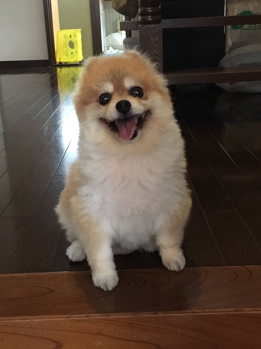 shunando2's tweet photo. 笑顔でお見送り@��日出勤 https://t.co/rolOeLZsS7