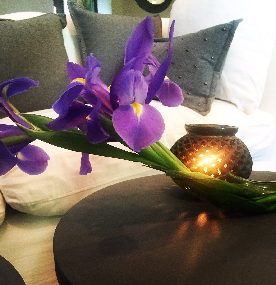 GetVineOh's tweet photo. Wherever life plants you, bloom with grace. #ohinspire #irisflowers #vineohbox#chivevase https://t.co/IE3p1iTN7N