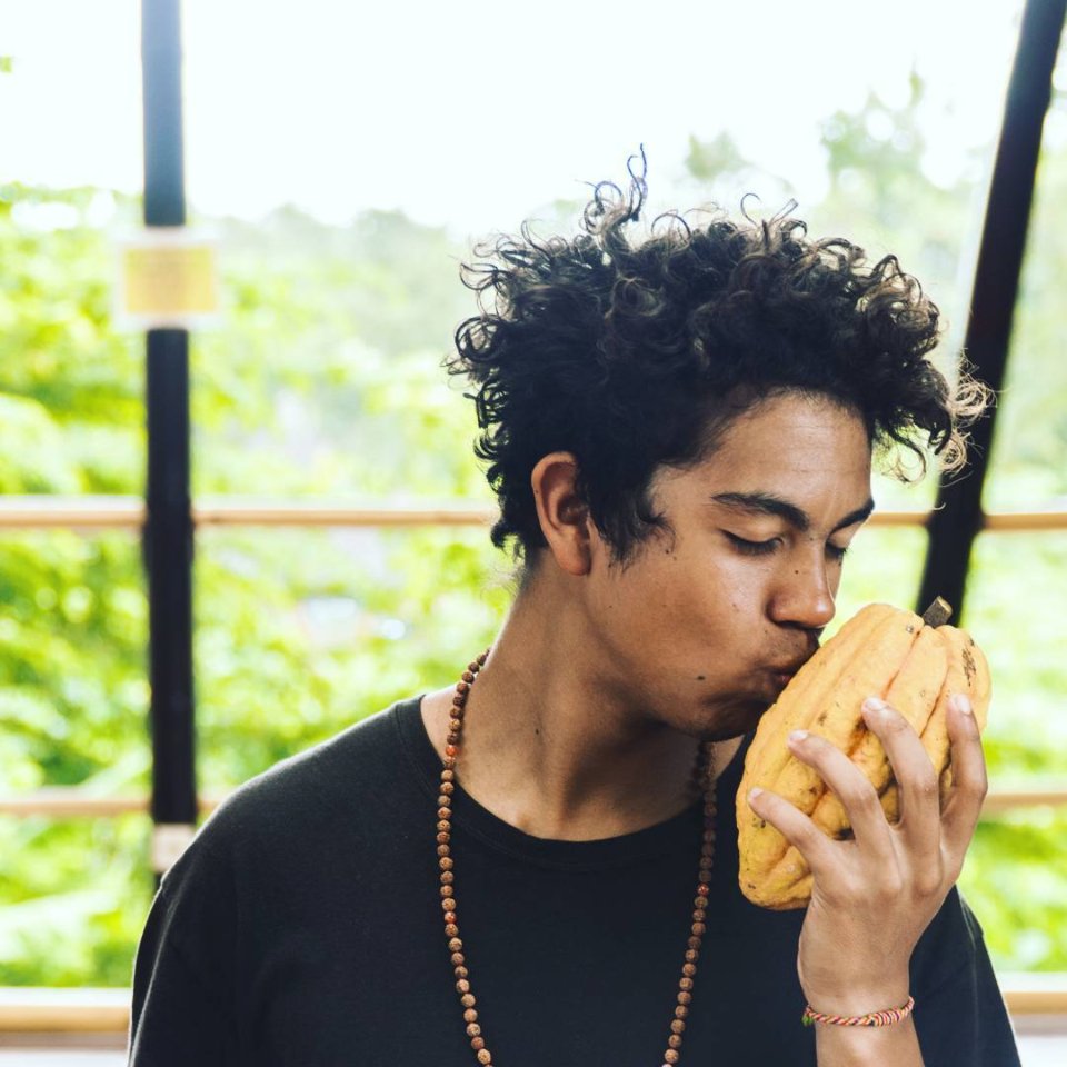 BigTreeFarms's tweet image. Cacao Pods! Home to our beloved #cacao beans… 😘🍫