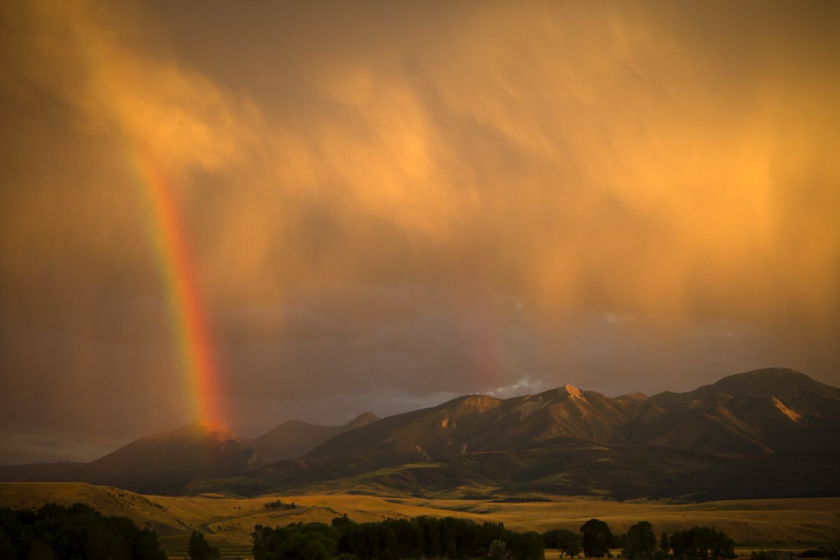 ycountry's tweet photo. We had a beautiful rainstorm in Yellowstone Country last night...left us this little gem! #yellowstonecountry #BoldyGoMT Photo Dan Armstrong https://t.co/j6LlqniVQ0