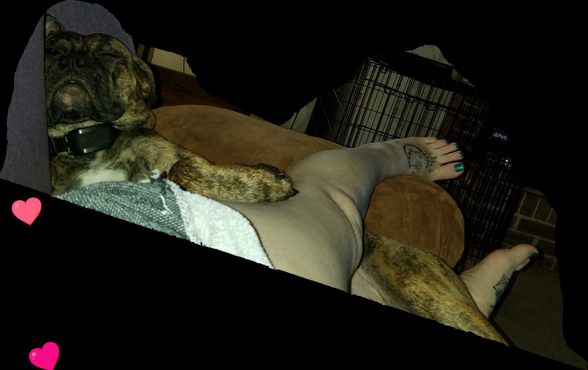 MrsHippieToes's tweet photo. Paws and #sexytoes https://t.co/MsKPgwAARd