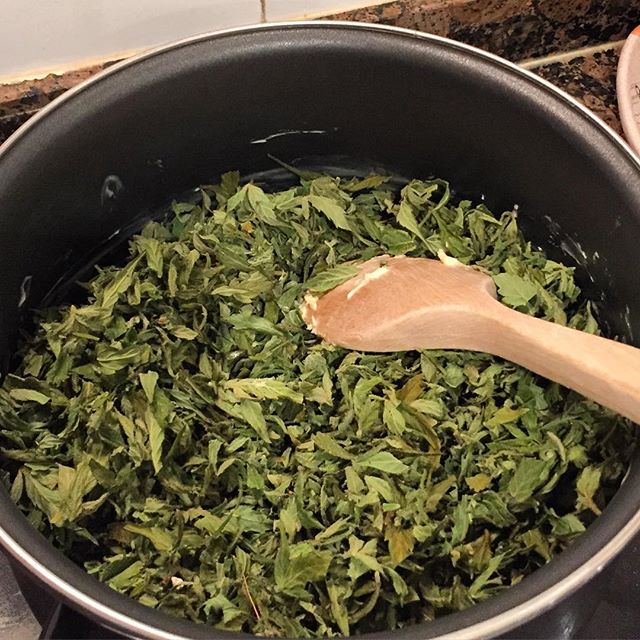 MJ_Wellness's tweet photo. Cooking with cannabis is awesome 🍁 #mjwellness #cooking #cannabis #strainhunters #ihigh #spacecake https://t.co/irw8W2l8Sh