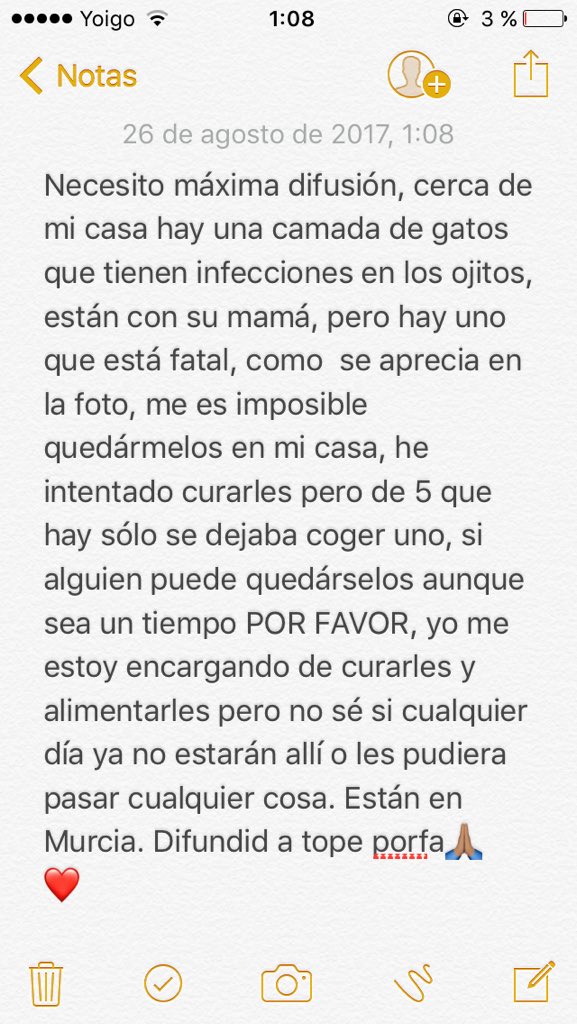 4ranyani's tweet photo. POR FAVOR NECESITO DIFUSIÓN, estos bebés lo necesitan 🙏🏽❤️ https://t.co/nV2MkgVkKm