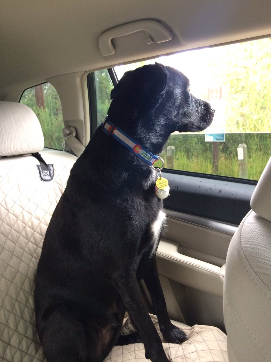 KIRBYourself34's tweet photo. When dad tells you it's time to leave the mountains...can't wait 'till I'm back! #KIRBYourenthusiasm #mountaindog #dowehavetoleave? https://t.co/YSrn5Y0AfB