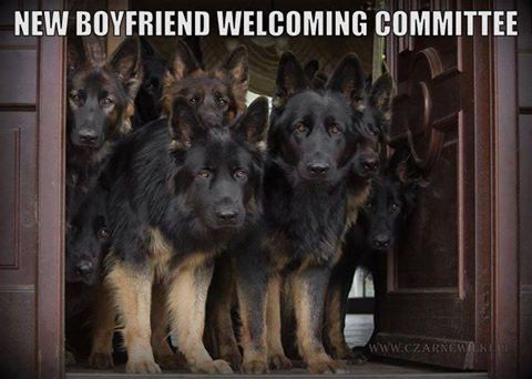 Comité de bienvenida 😁😁🐕🐕🐕para el nuevo novio!