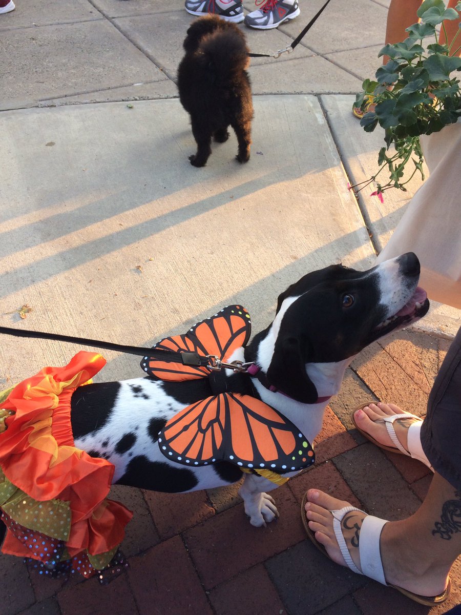 PintSizedOne's tweet photo. #CTYAPPY event has buttermuts! https://t.co/og60JAqDzQ