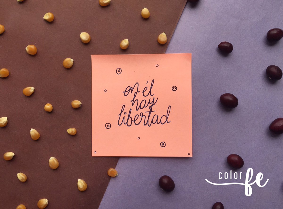 colorfe_'s tweet photo. • Mi LIBERTAD está en ÉL• ⠀
- H E C H O S 1 7 - #ColorFe https://t.co/TFYS7q7KxU
