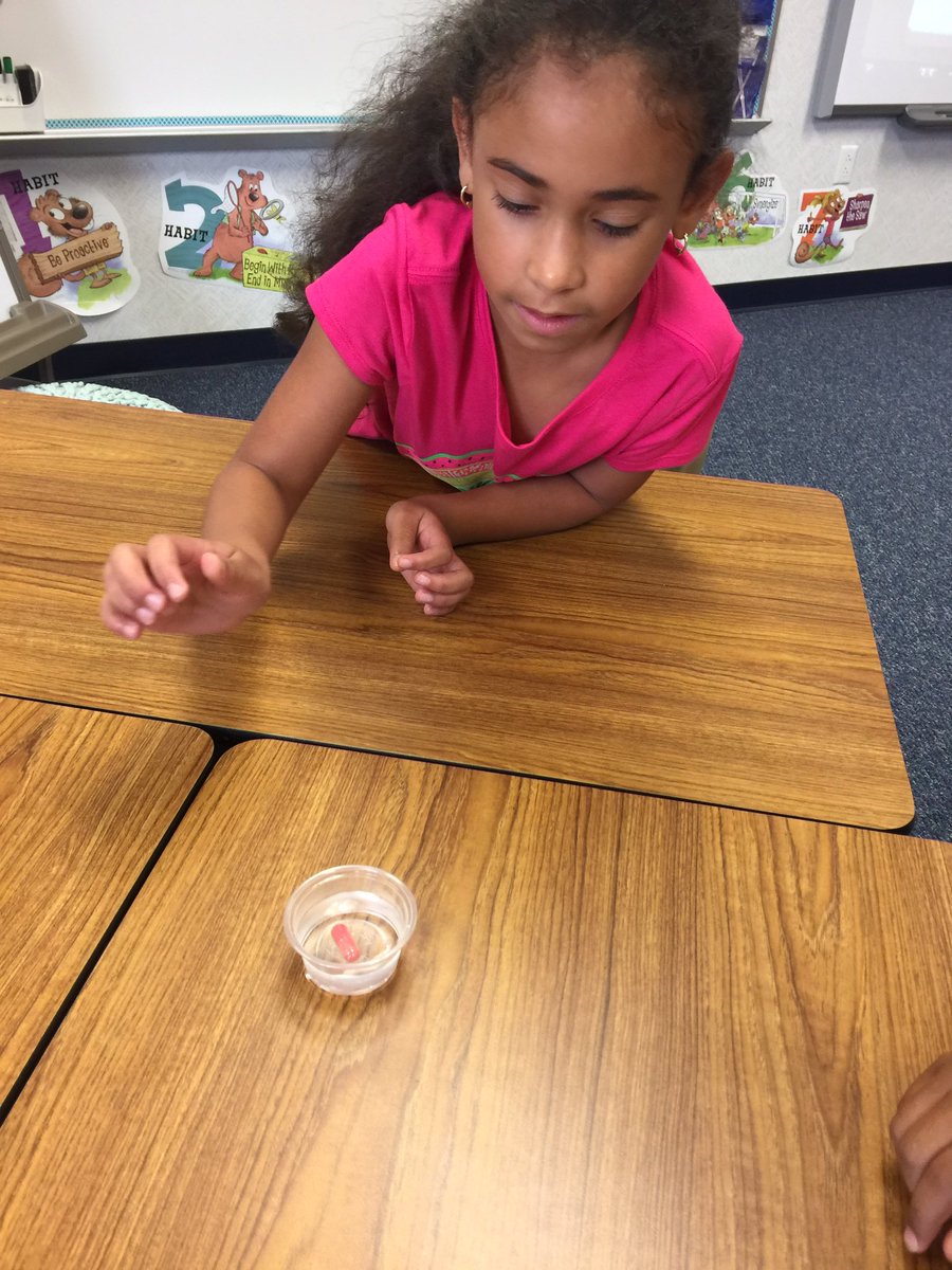 MrsFostersFoxes's tweet photo. Our first science experiment of the year @LindseyElem ! #magiccapsules https://t.co/5cOz6wPtBa