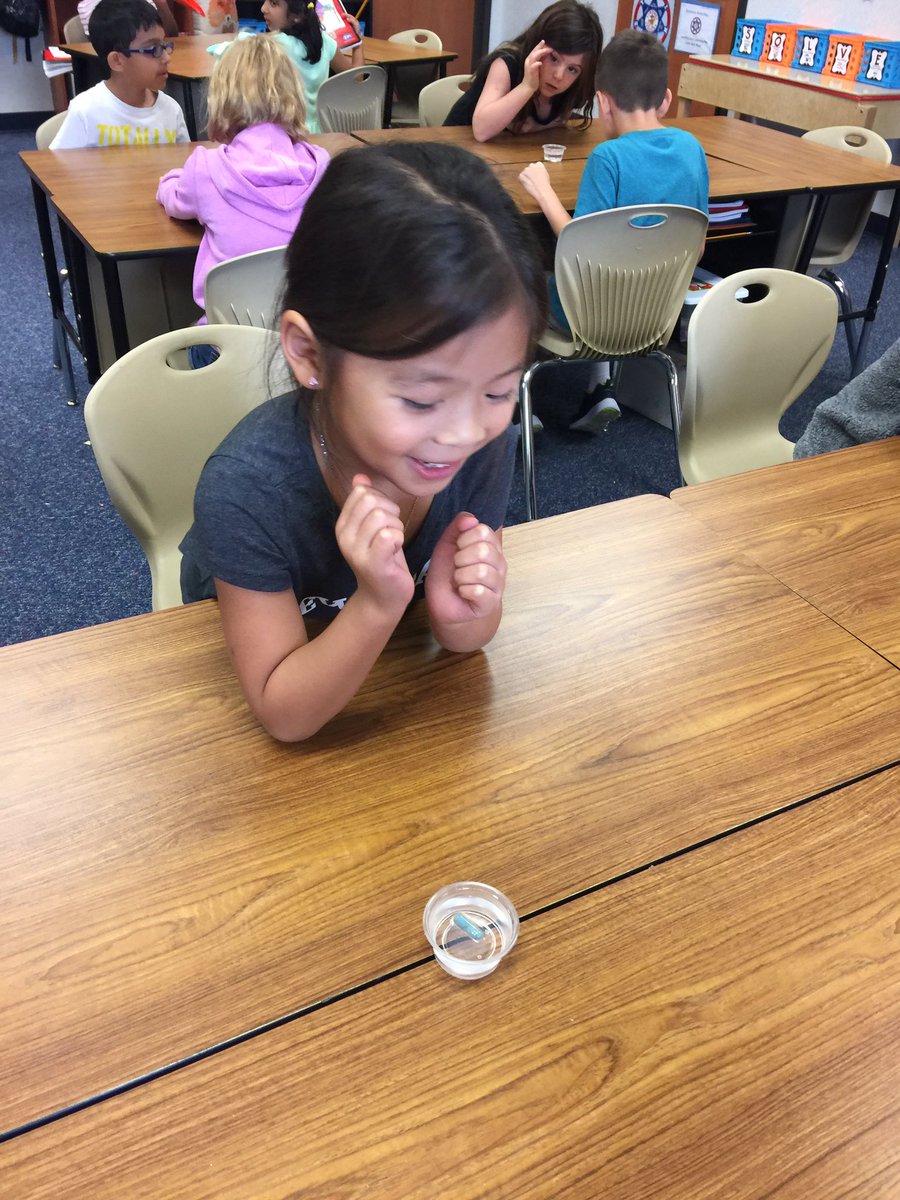 MrsFostersFoxes's tweet photo. Our first science experiment of the year @LindseyElem ! #magiccapsules https://t.co/5cOz6wPtBa
