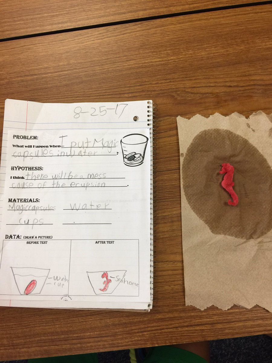 MrsFostersFoxes's tweet photo. Our first science experiment of the year @LindseyElem ! #magiccapsules https://t.co/5cOz6wPtBa