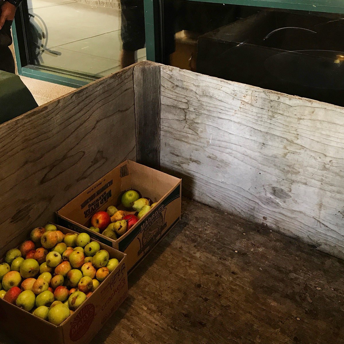 AppleOutlaw's tweet photo. Apples are starting to come in! #communitycider #appledrive #appleoutlaw @ashlandfoodcoop https://t.co/eauchi4HPG