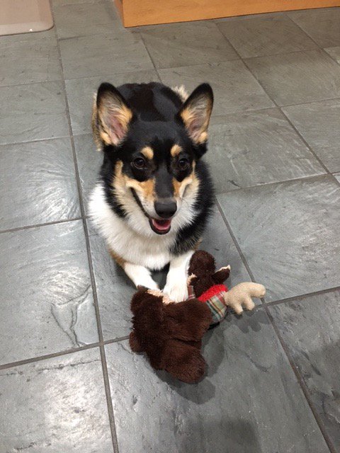 Stephen King tweet media