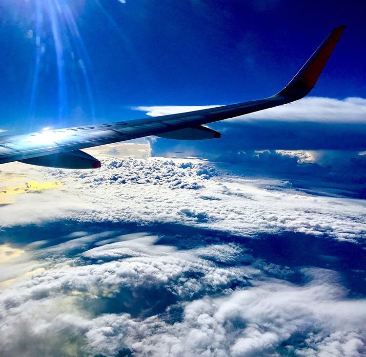 yuntapp's tweet photo. 良い空間で仕事をすると、仕事のクオリティが上がる(￣∇￣)

良い空間で仕事をするための投資をすべきだ https://t.co/RxCutc6jty