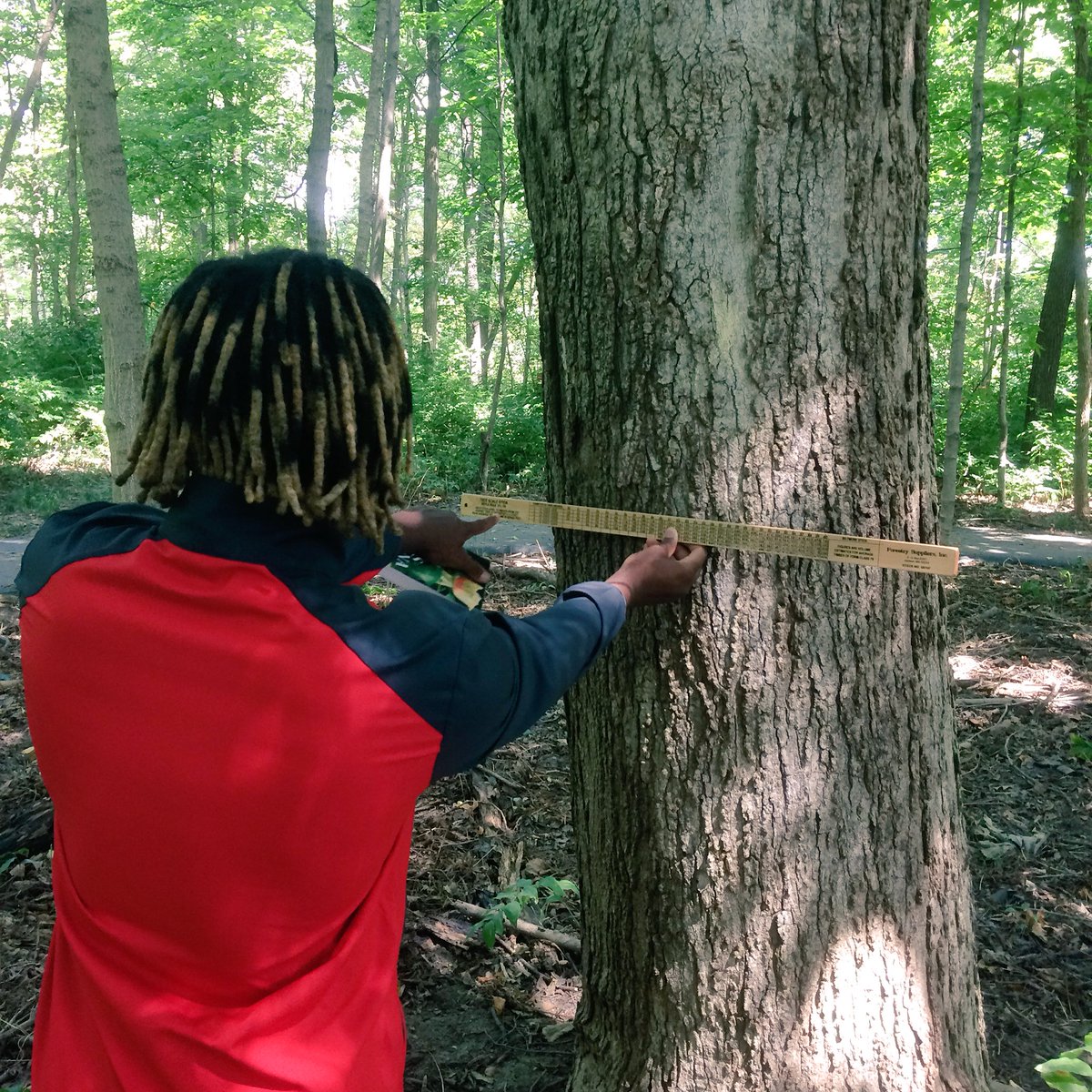indiana_mott's tweet photo. #mottenvironmentalscience practicing our forestry skills with the Biltmore stick. #handsonlearning #pikescience https://t.co/6IoEBMOuTh