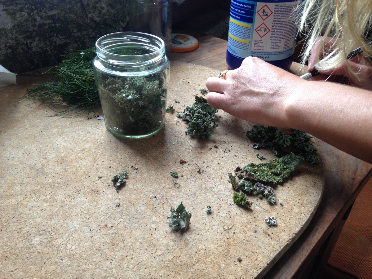 handsonfilmlab's tweet photo. Making film dyes from nature with Cinestar at the Allerdale Film Farm https://t.co/uJTw3RlDLL