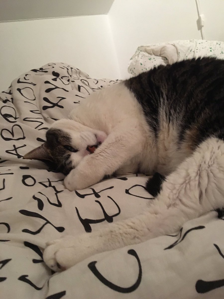 það er að fara með mig að hugsa til þess að litli kisinn sé einhvers staðar einn og týndur að frjósa og svelta, er svo óttalega viðkvæm