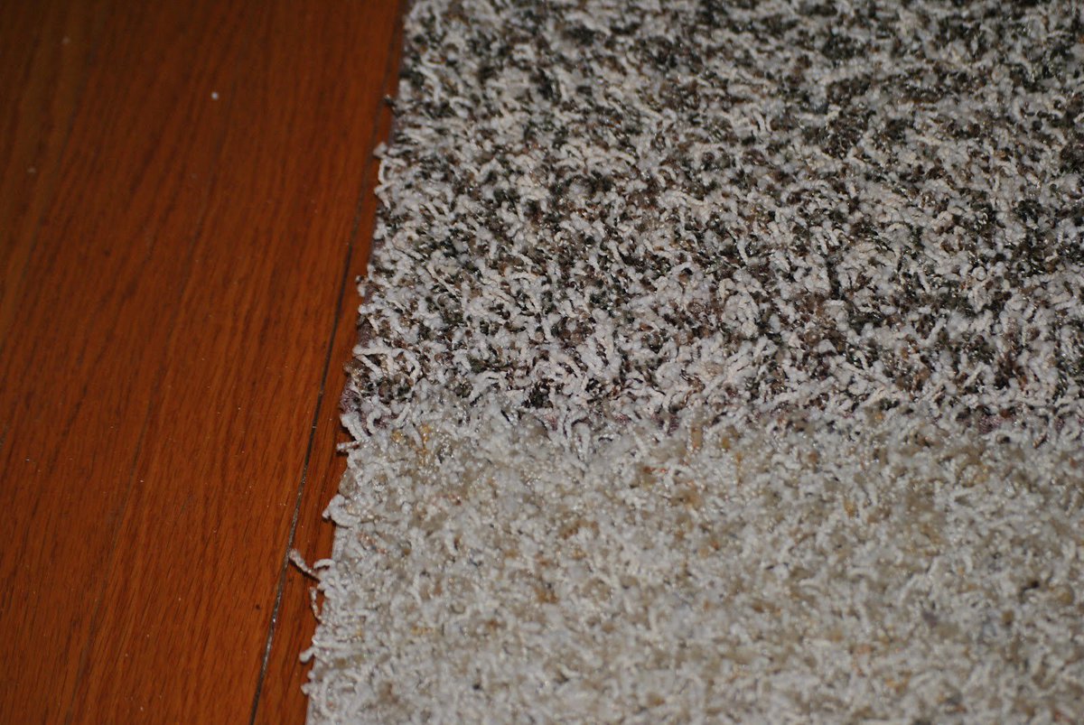 carpet empire (carpet_empire88) Twitter