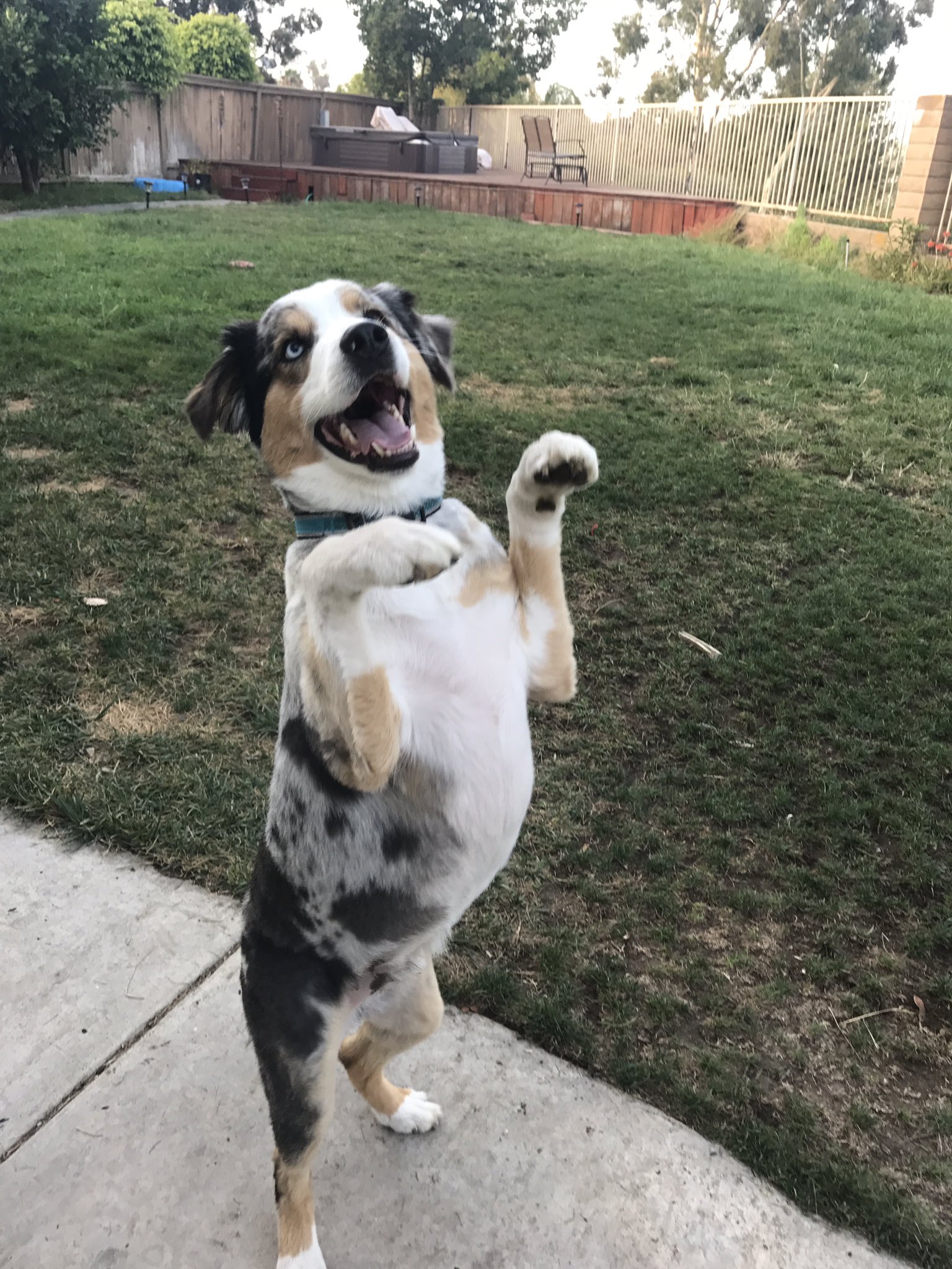 Happy 4th birthday to this big boy! 