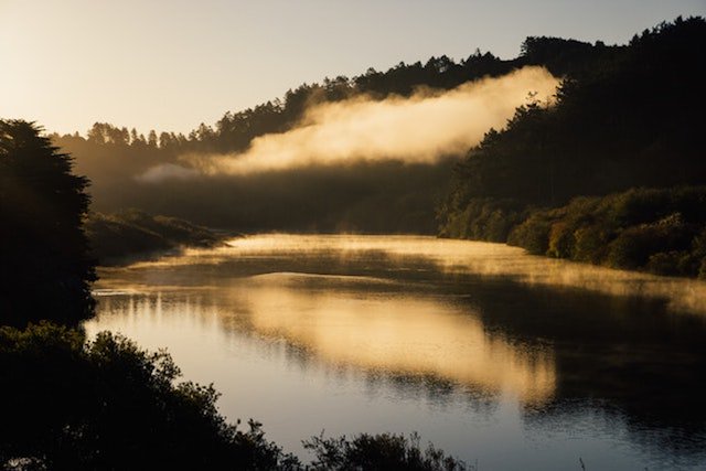 Experience the Dreaminess of West Sonoma County