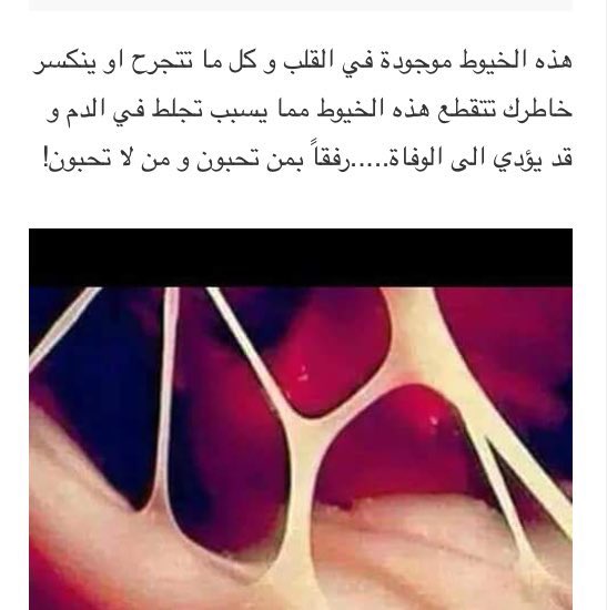 mem8a_'s tweet photo. #الاعتذارات_المتاخره 
رفقاً بمن تُحبون..🥀 https://t.co/tAj1INC6LV