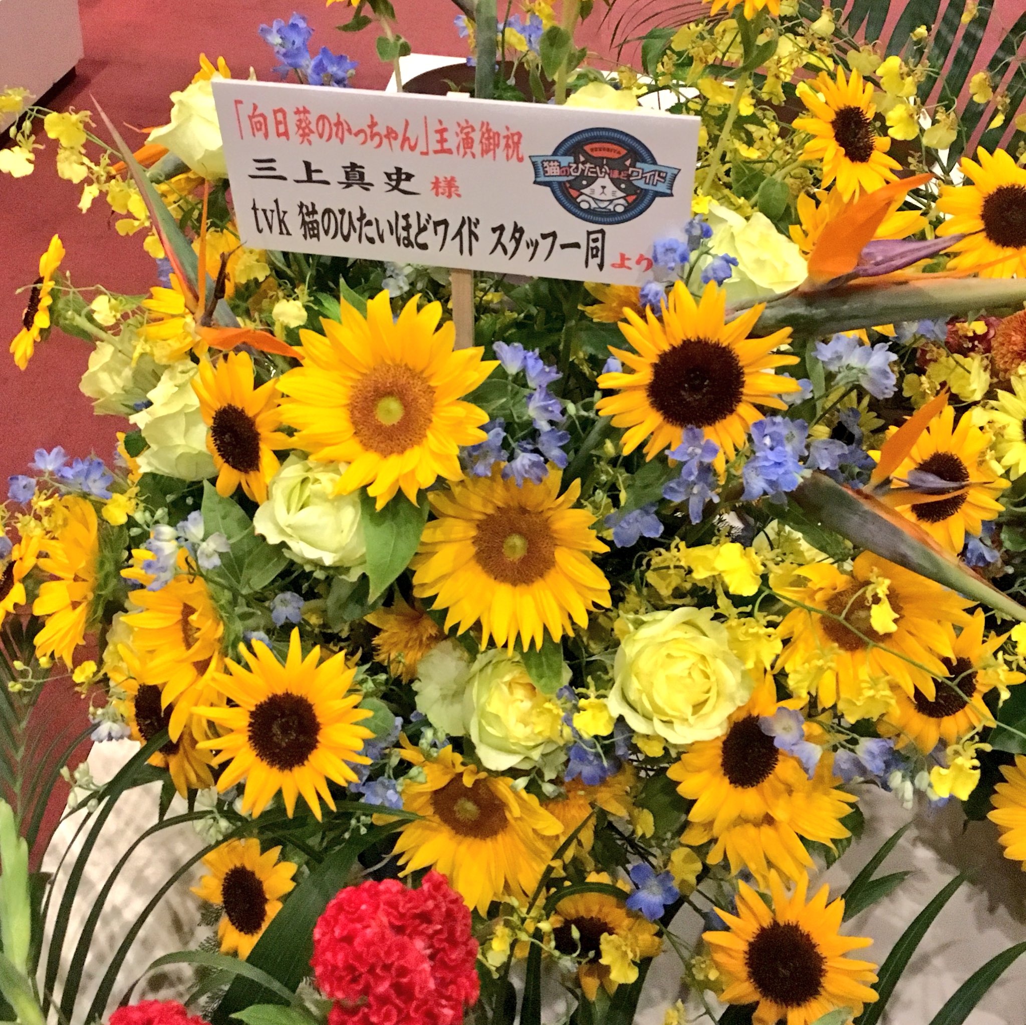 三上真史 本日 13時公演と17時公演です シュリかっちゃん楽日 よろしくお願いします たくさんの花 差し入れ お手紙本当にありがとうございます ロビーも満開です 心より感謝をこめて 向日葵のかっちゃん T Co Z65ylgd5g8 Twitter