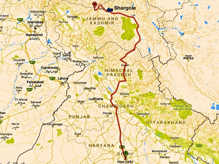 Victory Run tweet media