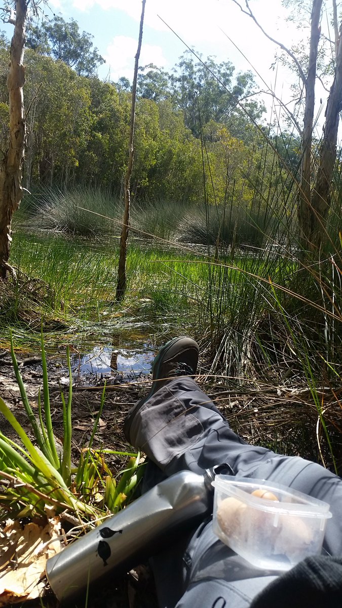 DadirriM's tweet photo. Billabong breakfast courtesy of @MyPeakChallenge. Smashed up H2O bottle courtesy of a Mountain...😒🏔 #thislushlife #youknowyourapeakerwhen 👊💗 https://t.co/eBiBqDEPLM
