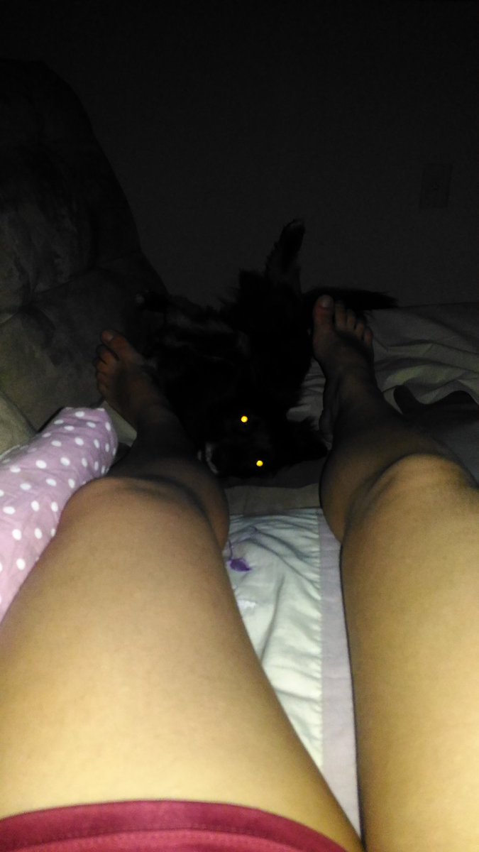 #BetaQuerLab
Boa noitr