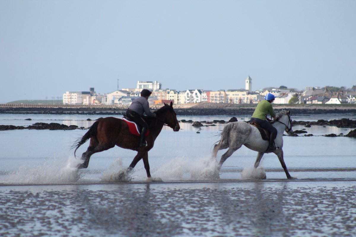 JTEquestrian tweet media