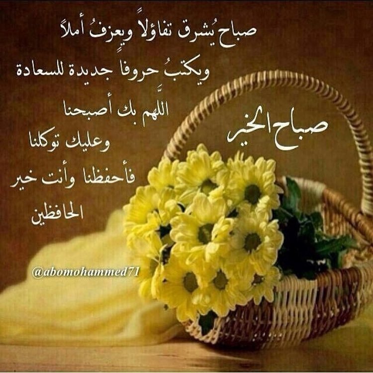 بوابة فاس Fas Gate (@fasgate10) on Twitter photo 