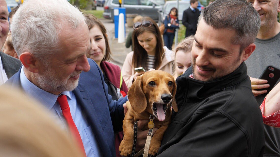 UKLabour's tweet photo. Happy #NationalDogDay! Let's build a country paw the many, not the few 🐾 https://t.co/lBGtzfiK5T