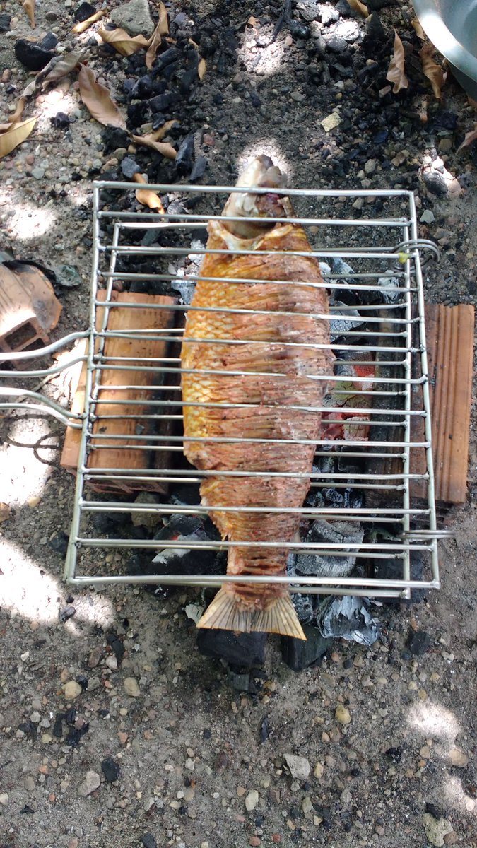 antonio maues (@maues_antonio) on Twitter photo 