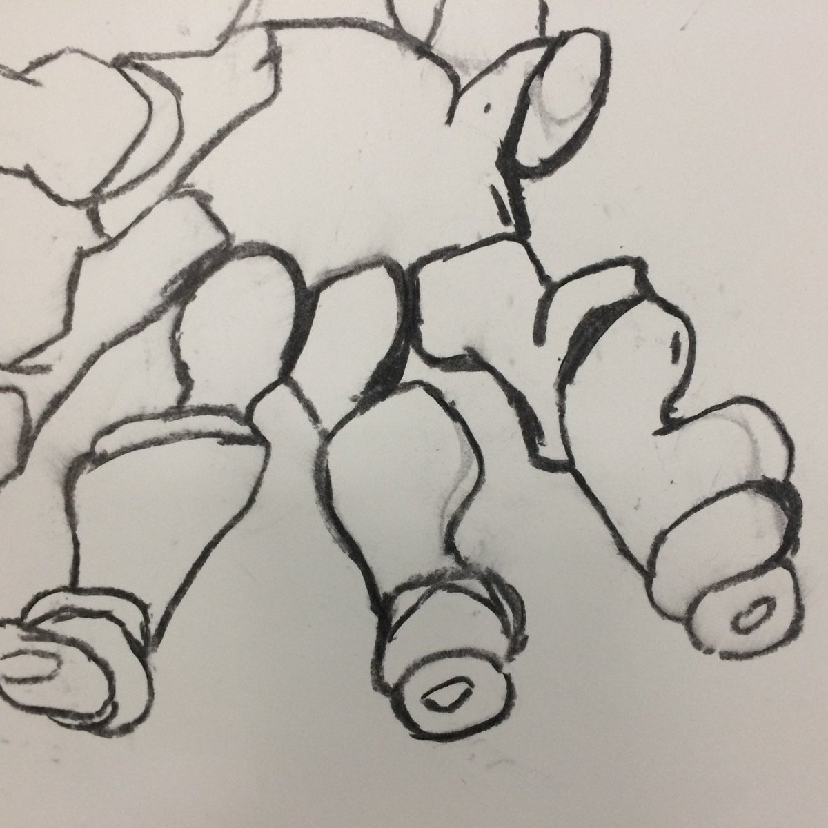 rtjardin's tweet photo. https://t.co/hNZAcQ7FHQ Beautiful Bones, G8. Using "tradigital" methods to improve our drawing skills.#iPaded #arted #arsted #k12artchat https://t.co/GLgDddwlsR
