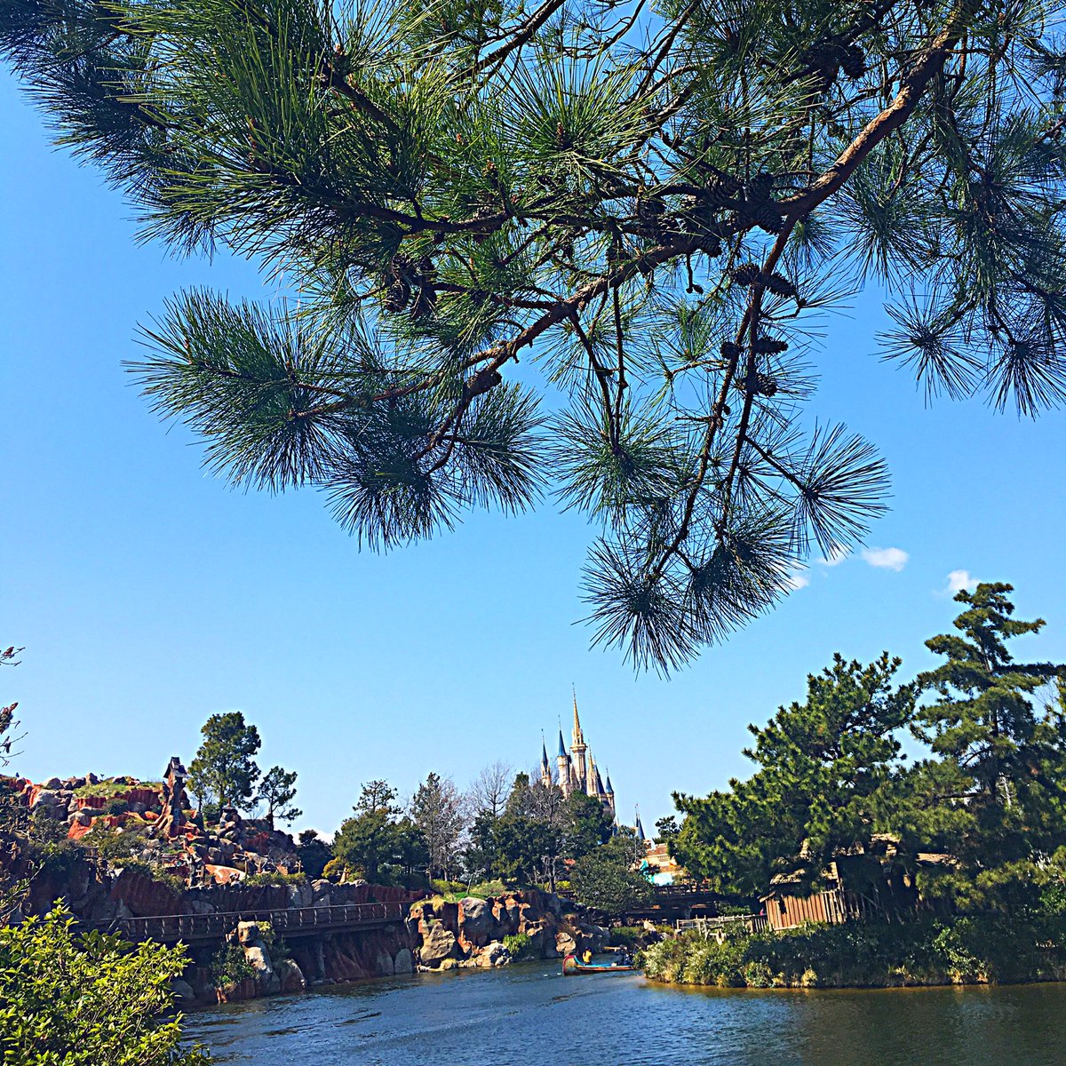 s_disney27's tweet photo. D垢作りました✨💫
まだまだ初心者ですがよろしくお願いします❤️

#Twitter上にいるDヲタ全員と繋がるのが密かな夢だったりするのでとりあえずこれを見たDヲタはRTもしくはフォローしていただけると全力でフォローしに行きます
#Dヲタさんと繋がりたい https://t.co/qiuHgf1R3j