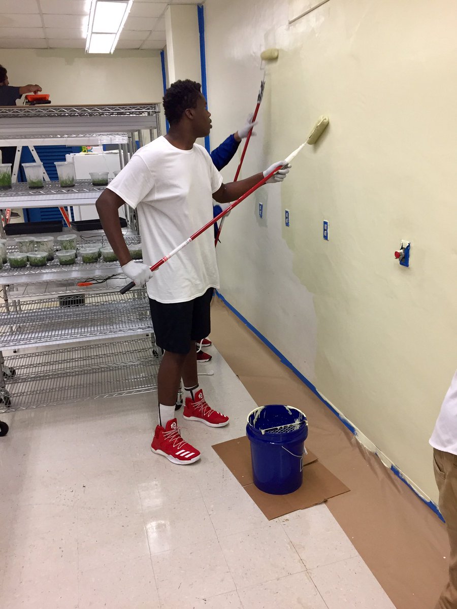 andrewkearns64's tweet photo. @josemartimast students volunteering by painting our #BotanyLab - after school on a Friday! 🎨🍃 #mast1718 @STEMDesignation @FairchildGarden https://t.co/V5Qil1jl66