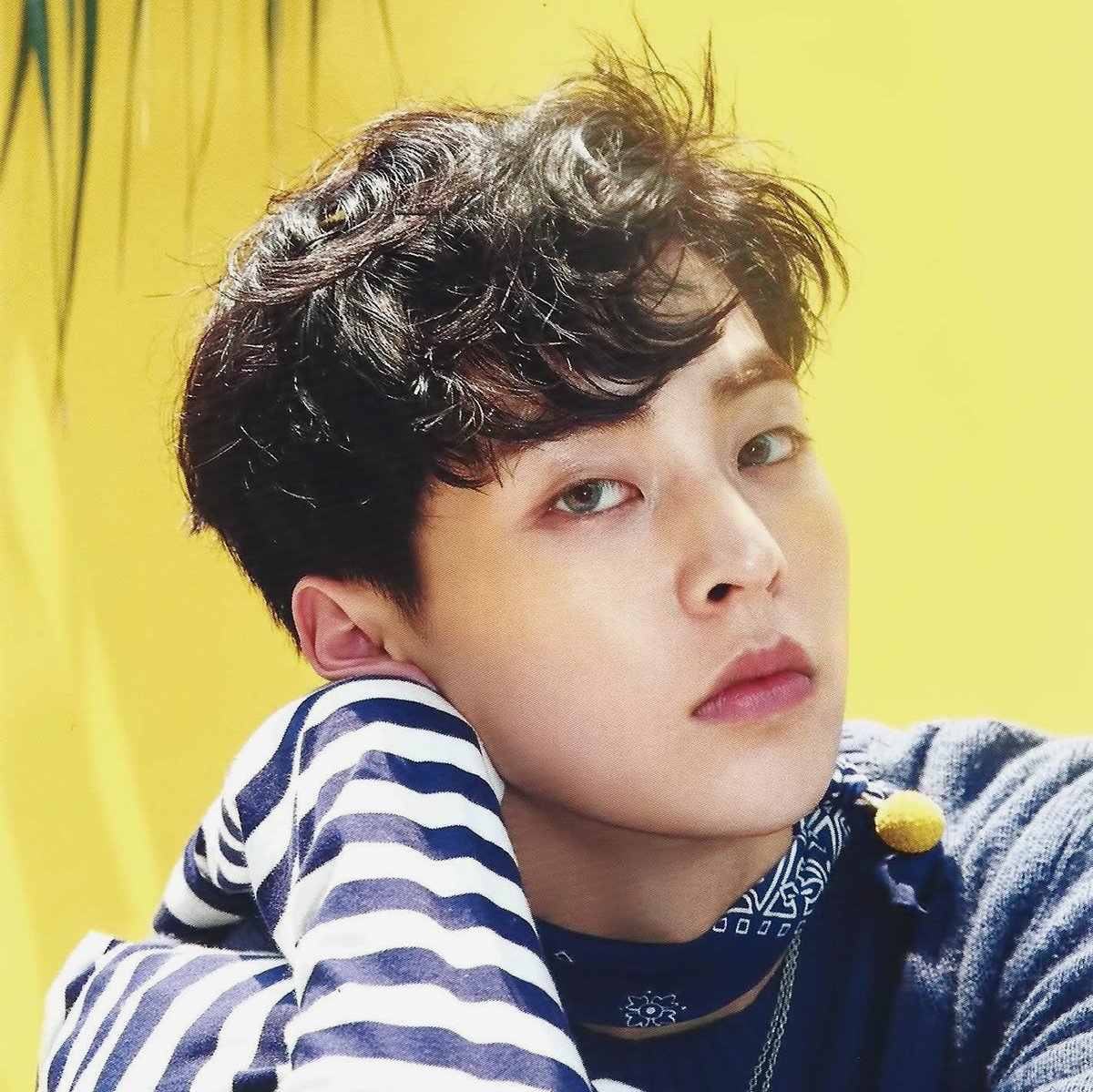 KPOP WORLDWIDE on Twitter: "[POLLWINNER] After voting (most favourited male  fake maknae) Congratulation, #XIUMIN #EXO #EXO_L #KoKoBop #TheWarEXO Thanks  for your voting.… https://t.co/KnBwwOPCv0"