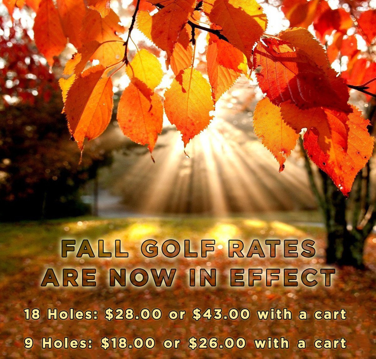 Lombard Glen (@lombardglen) on Twitter photo 