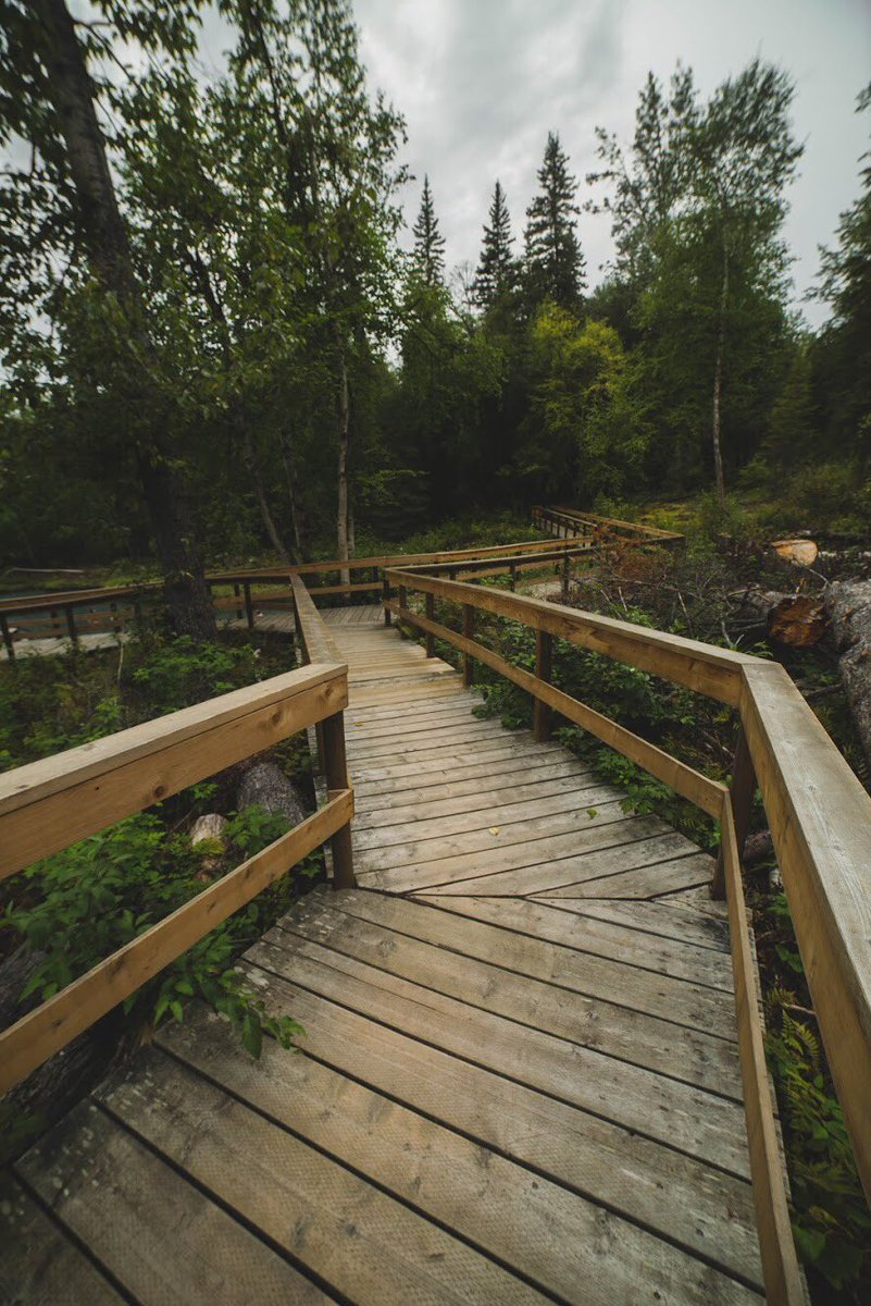 thathiker's tweet photo. Liard River Hot Springs National Park, BC https://t.co/pNWgOJQrUD
