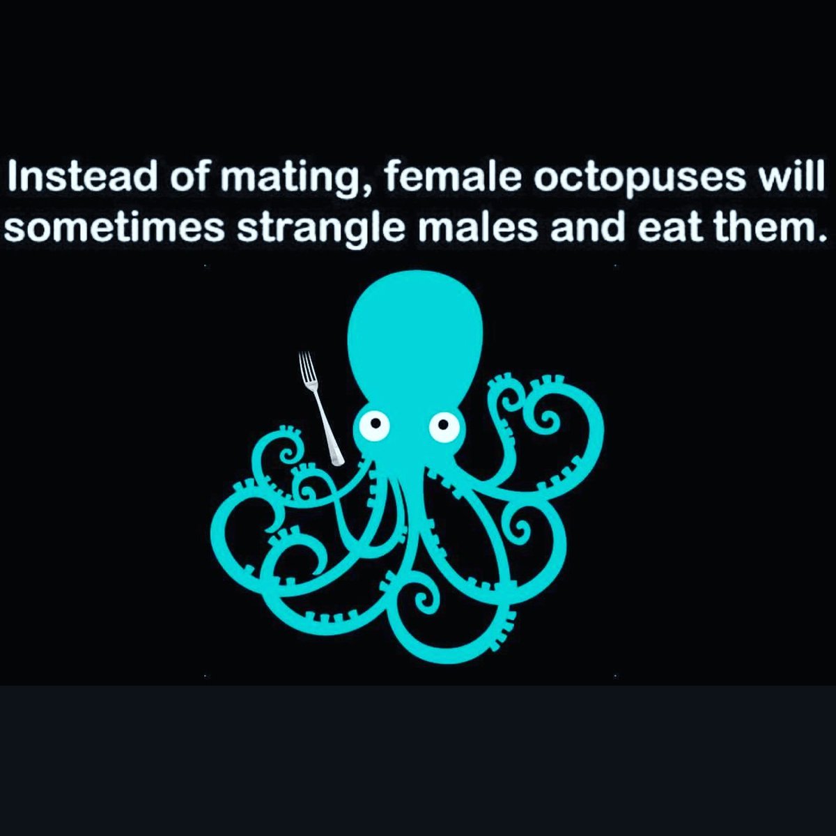 TheLyfeAquatic's tweet photo. Oh hey, baby!

#eightarmstoholdyou #octopus #waves #ocean #underwater #scuba #dive #diving #diver #surf #surfing #surfer #surfergirl https://t.co/IcdXYNgkwI