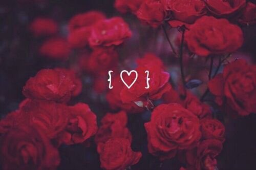 -Rebooted Account
—New to Verse
-Not New to Rp or Fandom
—Musical JD
-RT?
—#MVRP #HeathersRp

❝ᴄʜᴀᴏs ɪs ᴡʜᴀᴛ ᴋɪʟʟᴇᴅ ᴛʜᴇ ᴅɪɴᴏsᴀᴜʀs, ᴅᴀʀʟɪɴɢ❞