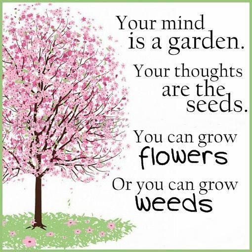Your mind is a garden. Your thoughts are the seeds. You can either grow flowers or you can grow weeds. #quotes #saturdaymorning