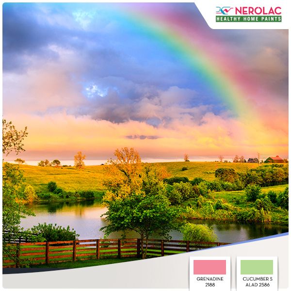 Nerolac_Paints's tweet photo. It's just another reason to look out the window on a rainy day. Come shine, the world is painted bright! #Colourspiration https://t.co/NYNdvEZEts