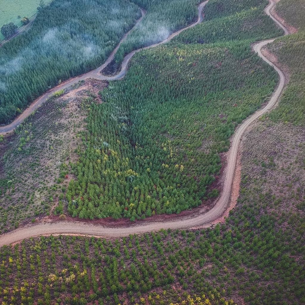 thegojetter's tweet photo. Follow me 
Loc : Porepunkah, Victoria
••••••••••••••••••••••••••••••••••••••
#fromwhereidrone #letsgosomewhere #liveauthentic #lifeofadvent… https://t.co/od9TP6veeL