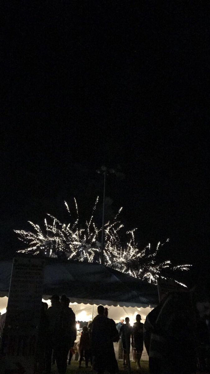 ||: anyways, here are some pictures of fireworks that i'm proud of!