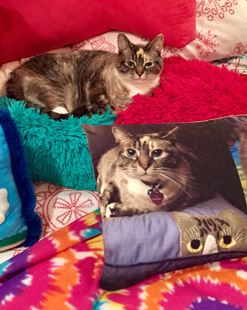 RubyZefo's tweet image. I... I ... have blown my own mind. #WhichIsReal