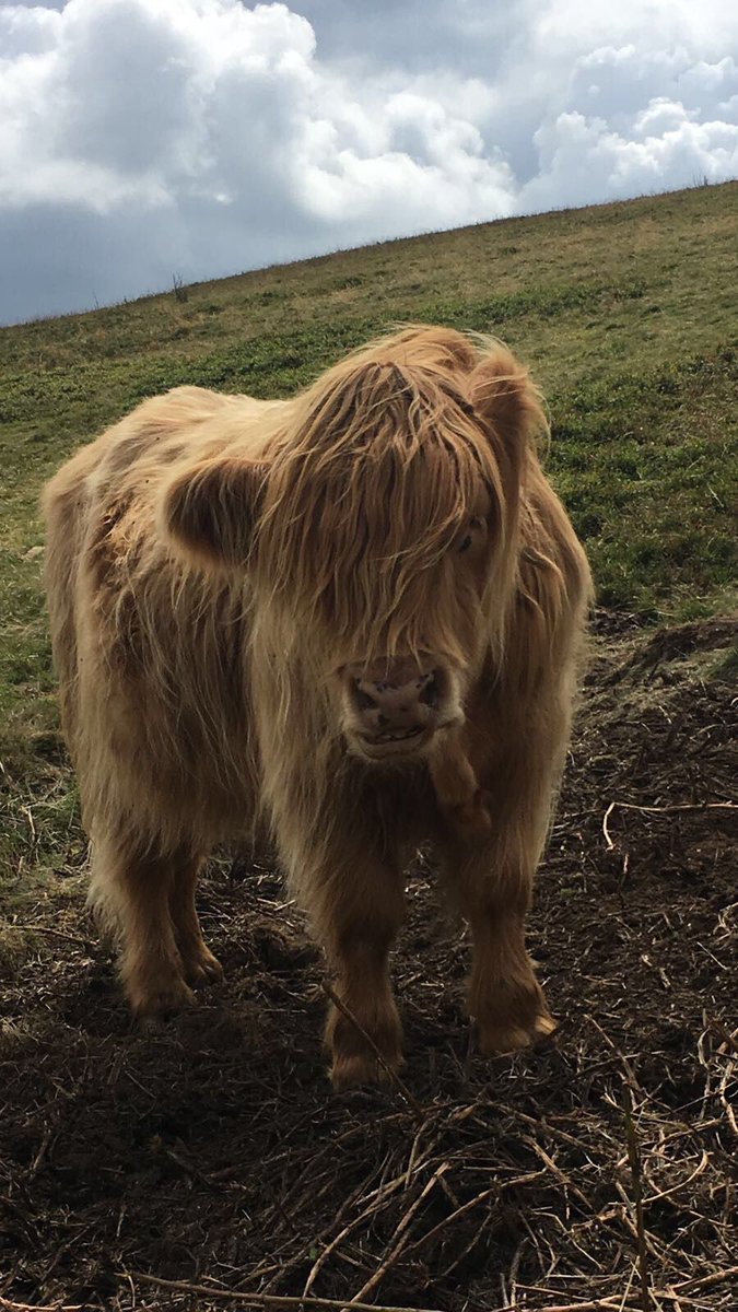 BootCamp_Xtreme's tweet photo. We meet all sorts at Xtreme  #bootcamp #gym #fitness https://t.co/8sZ2LSZBj6