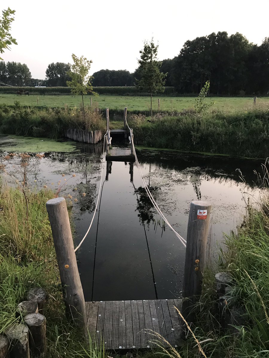 Niet alleen kinderen vinden het leuk om met het pontje over te steken. #Putten #Hoeverveldpad #Schuitenbeek #Klompenpad