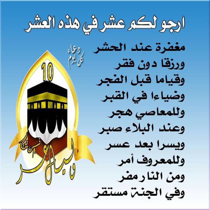 e_m_o_o's tweet image. 